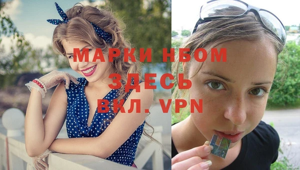 ALPHA PVP Белокуриха
